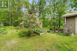 454 KENNEDY DRIVE | Bobcaygeon Ontario | Slide Image Eighteen
