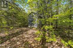 339 LITTLE FINCH LAKE ROAD | Addington Highlands Ontario | Slide Image Thirty-five