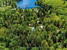 339 LITTLE FINCH LAKE ROAD | Addington Highlands Ontario | Slide Image Forty