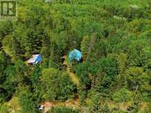 339 LITTLE FINCH LAKE ROAD | Addington Highlands Ontario | Slide Image Forty-five