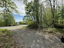 N/A NORTHEY'S BAY ROAD | North Kawartha Ontario | Slide Image Three