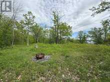 N/A NORTHEY'S BAY ROAD | North Kawartha Ontario | Slide Image Five