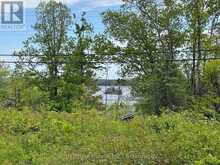 N/A NORTHEY'S BAY ROAD | North Kawartha Ontario | Slide Image Six