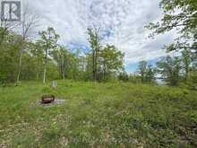 N/A NORTHEY'S BAY ROAD | North Kawartha Ontario | Slide Image Seven