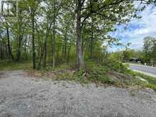 N/A NORTHEY'S BAY ROAD | North Kawartha Ontario | Slide Image Ten