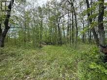 N/A NORTHEY'S BAY ROAD | North Kawartha Ontario | Slide Image Eight