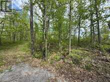 N/A NORTHEY'S BAY ROAD | North Kawartha Ontario | Slide Image Nine