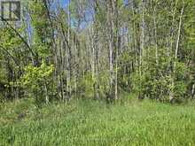 00 SHANNONVILLE ROAD | Corbyville Ontario | Slide Image Two