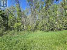 00 SHANNONVILLE ROAD | Corbyville Ontario | Slide Image Three