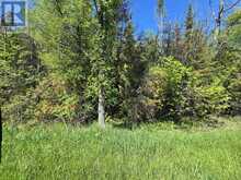 00 SHANNONVILLE ROAD | Corbyville Ontario | Slide Image Five