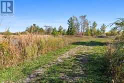 15880 62 HIGHWAY | Madoc Ontario | Slide Image Thirty