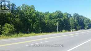 0 7 HIGHWAY | Madoc Ontario | Slide Image One