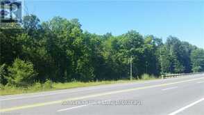 0 7 HIGHWAY | Madoc Ontario | Slide Image Three