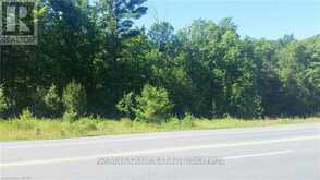 0 7 HIGHWAY | Madoc Ontario | Slide Image Four