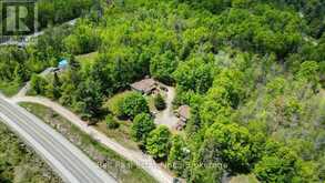 20 ART BOTT ROAD | Apsley Ontario | Slide Image Thirty-eight