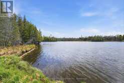 119 GAFFNEY LAKE LANE | Bancroft Ontario | Slide Image Thirty-seven