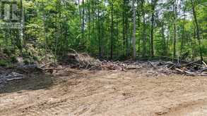 0 AIRPORT ROAD | Bancroft Ontario | Slide Image Nineteen