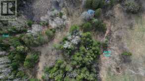 3606 COUNTY ROAD 620 | Apsley Ontario | Slide Image Ten