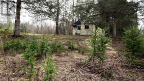 3606 COUNTY ROAD 620 | Apsley Ontario | Slide Image One