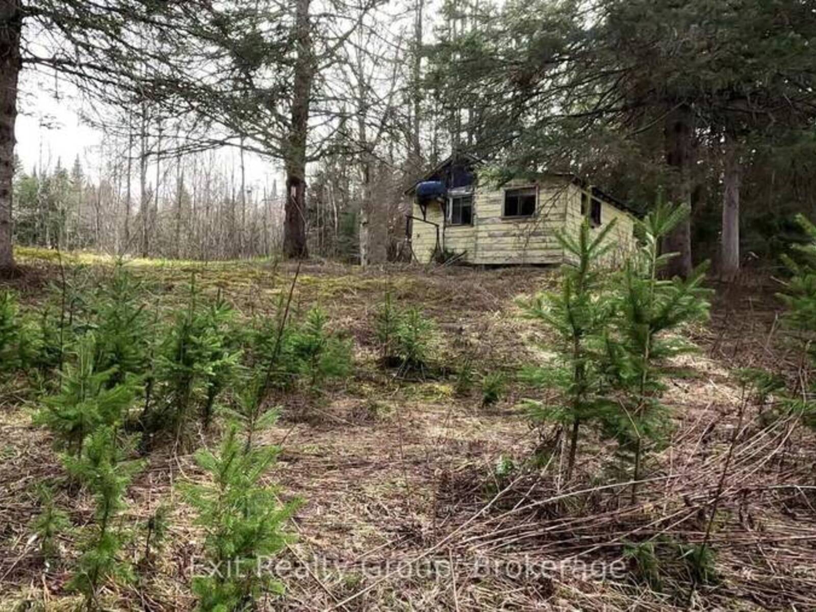 3606 COUNTY ROAD 620, Apsley, Ontario K0L 1A0