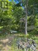 493 BUTTERMILK LANE | Marmora Ontario | Slide Image Nineteen