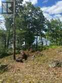 493 BUTTERMILK LANE | Marmora Ontario | Slide Image Nine