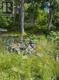 493 BUTTERMILK LANE | Marmora Ontario | Slide Image Eighteen