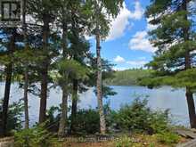 1261A SHAWENEGOG LAKE LANE | Addington Highlands Ontario | Slide Image Eight