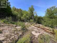 39132 COMBERMERE ROAD | Madawaska Valley Ontario | Slide Image Twenty-eight