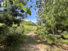 39132 COMBERMERE ROAD | Madawaska Valley Ontario | Slide Image Thirty-one