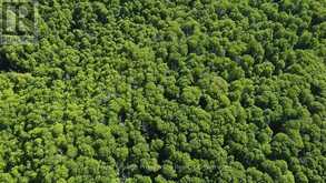 C8 PT L2 CON 8 PT LOT 22 | Addington Highlands Ontario | Slide Image Ten