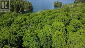 C8 PT L2 CON 8 PT LOT 22 | Addington Highlands Ontario | Slide Image Eleven