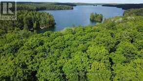 C8 PT L2 CON 8 PT LOT 22 | Addington Highlands Ontario | Slide Image Twelve