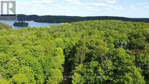 C8 PT L2 CON 8 PT LOT 22 | Addington Highlands Ontario | Slide Image Thirteen