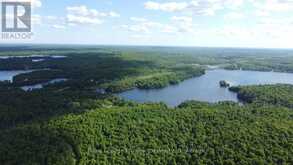 C8 PT L2 CON 8 PT LOT 22 | Addington Highlands Ontario | Slide Image Sixteen