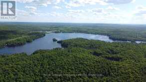 C8 PT L2 CON 8 PT LOT 22 | Addington Highlands Ontario | Slide Image Seventeen