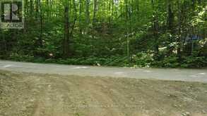 C8 PT L2 CON 8 PT LOT 22 | Addington Highlands Ontario | Slide Image Two