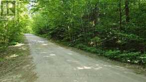 C8 PT L2 CON 8 PT LOT 22 | Addington Highlands Ontario | Slide Image Four