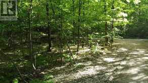 C8 PT L2 CON 8 PT LOT 22 | Addington Highlands Ontario | Slide Image Five