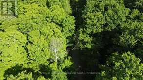 C8 PT L2 CON 8 PT LOT 22 | Addington Highlands Ontario | Slide Image Six