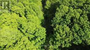 C8 PT L2 CON 8 PT LOT 22 | Addington Highlands Ontario | Slide Image Seven