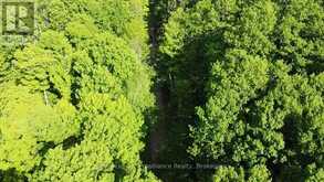 C8 PT L2 CON 8 PT LOT 22 | Addington Highlands Ontario | Slide Image Eight