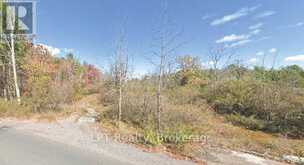 PT 3 LOT 8 MARBLE POINT ROAD | Marmora Ontario | Slide Image Two