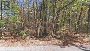PT LOT 8 MARBLE POINT ROAD | Marmora Ontario | Slide Image Four