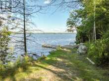 17100 HIGHWAY 41 | Addington Highlands Ontario | Slide Image Forty-four