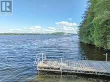 17100 HIGHWAY 41 | Addington Highlands Ontario | Slide Image Forty-six