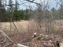 866 CENTRE DUMMER ROAD | Otonabee-South Monaghan Ontario | Slide Image Five
