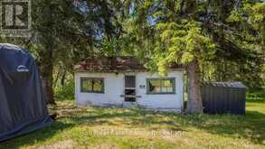 3993 COUNTY RD 620 | Apsley Ontario | Slide Image Thirty-two