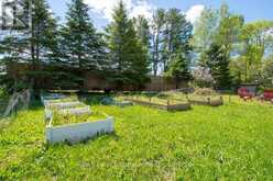 3993 COUNTY RD 620 | Apsley Ontario | Slide Image Thirty-four