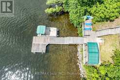 82 COW ISLAND | Otonabee-South Monaghan Ontario | Slide Image Sixteen